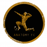 ANATOMY logo