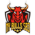 NPCL NY BULLS logo