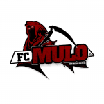FC Mulo logo