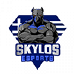 VPN Skylos logo