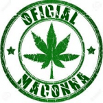 VPN MACONHA CHILE logo