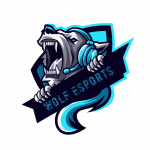 VPN Wolf  logo