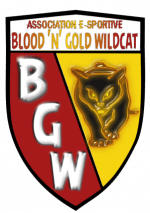BnG Wildcat logo