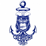 VPN CALEUCHE logo