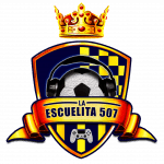 PLATINIUM LIONS logo