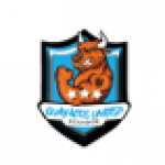 Guayacos  United logo