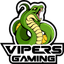 Vipers Gaming