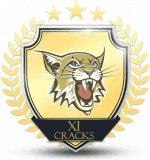 XI CRACKS logo