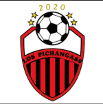  VPN LOS PICHANGASS logo