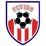 VPN FC Vino  logo