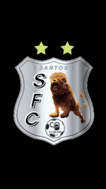 I NR SANTOS I logo