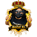 FVCP BOZAL XI logo