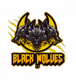 Black Wolves Fc logo