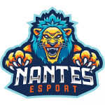 Nantes E sport logo