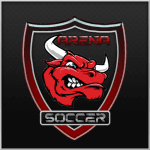 Arena Soccer logo