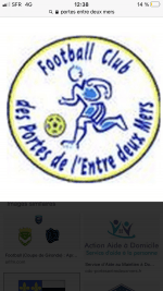 The Best Momoye logo