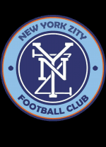 NEW YORK ZITY logo