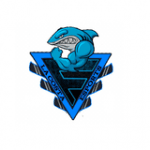 LACOSTA SPORTS logo