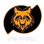 PROSPEKT GAMING OG logo