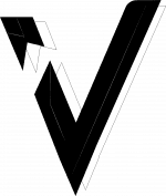 VIP TEAM logo