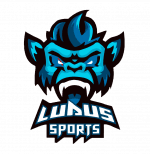 Ludus Sports logo