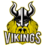 GAMEPONG VIKINGS logo