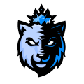 FVCP ICE ESPORTS logo