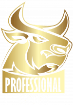 PROFESSIONAL ESPORTS logo