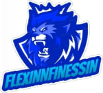 FLEXINFINESSIN logo