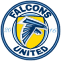 FALCONS UNITED logo