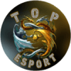 Top Esport WE logo