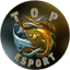 Top Esport WE