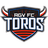 VPN RGVFC Toros