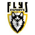 Flyz Colombia 