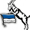 Free team sFK logo