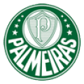 VPN  Palmeiras logo