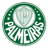 VPN  Palmeiras
