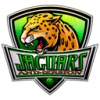 Animersion Jaguars PC logo