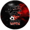 Pur Raven logo