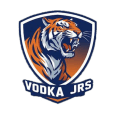 Vodka eSports logo