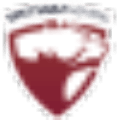 Spetsnaz Gaming Ve logo