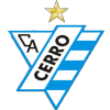 VPN Cerro logo