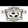 Fanatic x  logo