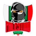 Palestino eSsport logo