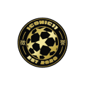 Iconic XI logo