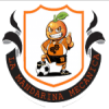 Mandarina Mecanica logo