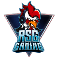 Roosters Gaming logo