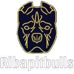 RIBAPITBULLS logo