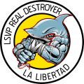 LSVP DESTROYER logo