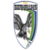Seahawks logo